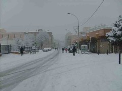 Autour de Chamson - Guinot - Salengro