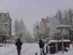 Autour du Cours Julien