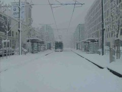 Autour de la joliette
