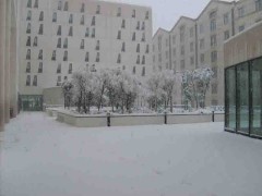 Autour de la joliette