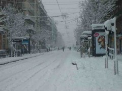 Autour de la rue de la République