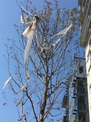 Les nouvelle guirlandes pour les arbres Marseillais